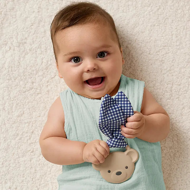 Itzy Ritzy Crinkle Toy