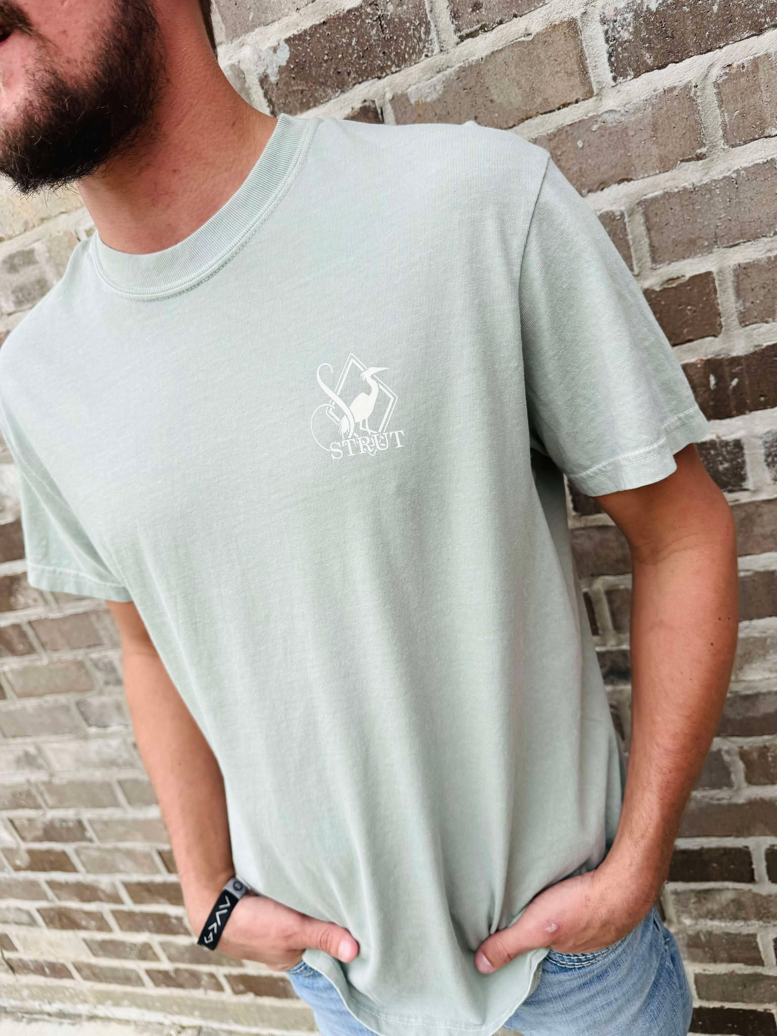 Southern Strut Pointer Box Tee