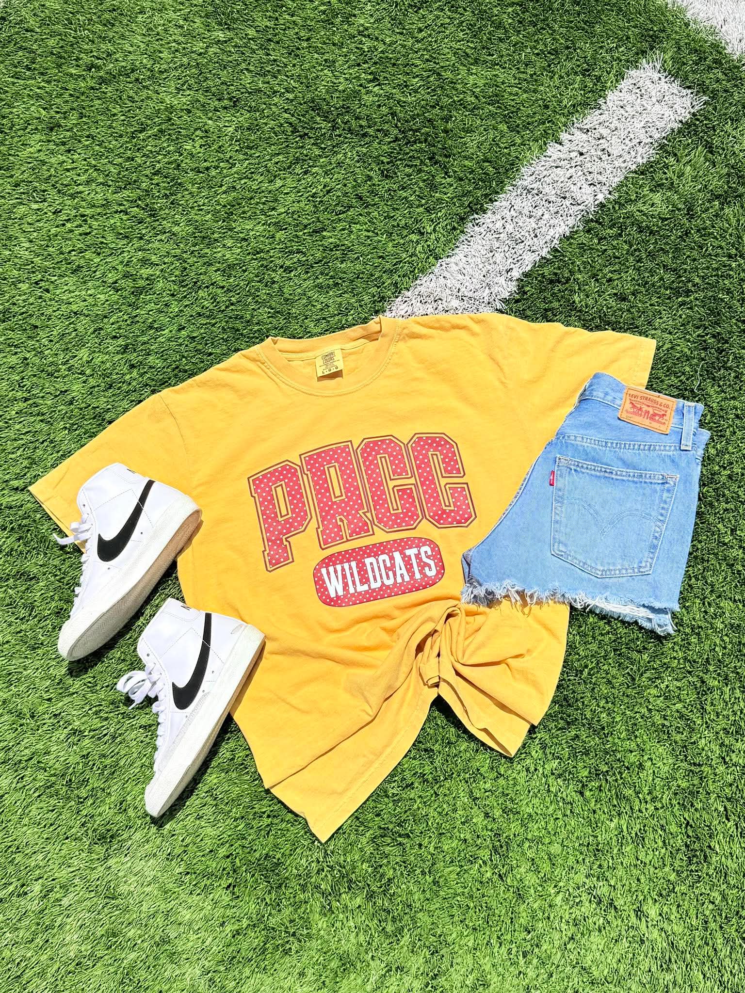 Custom Polka Dot School/Mascot Graphic Tee - #GAME79