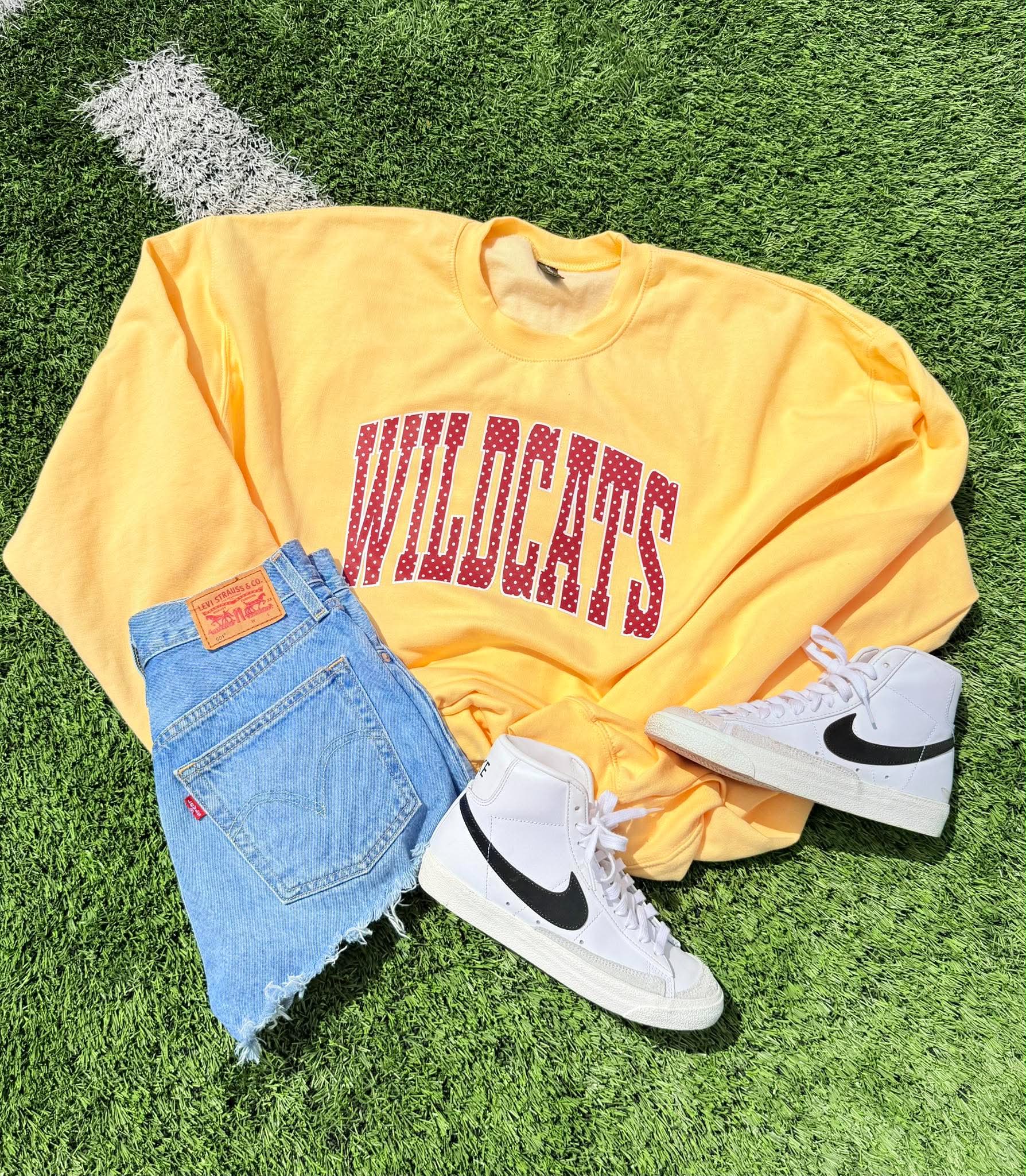 Polka Dot Arched Mascot Sweatshirt - #GAME84