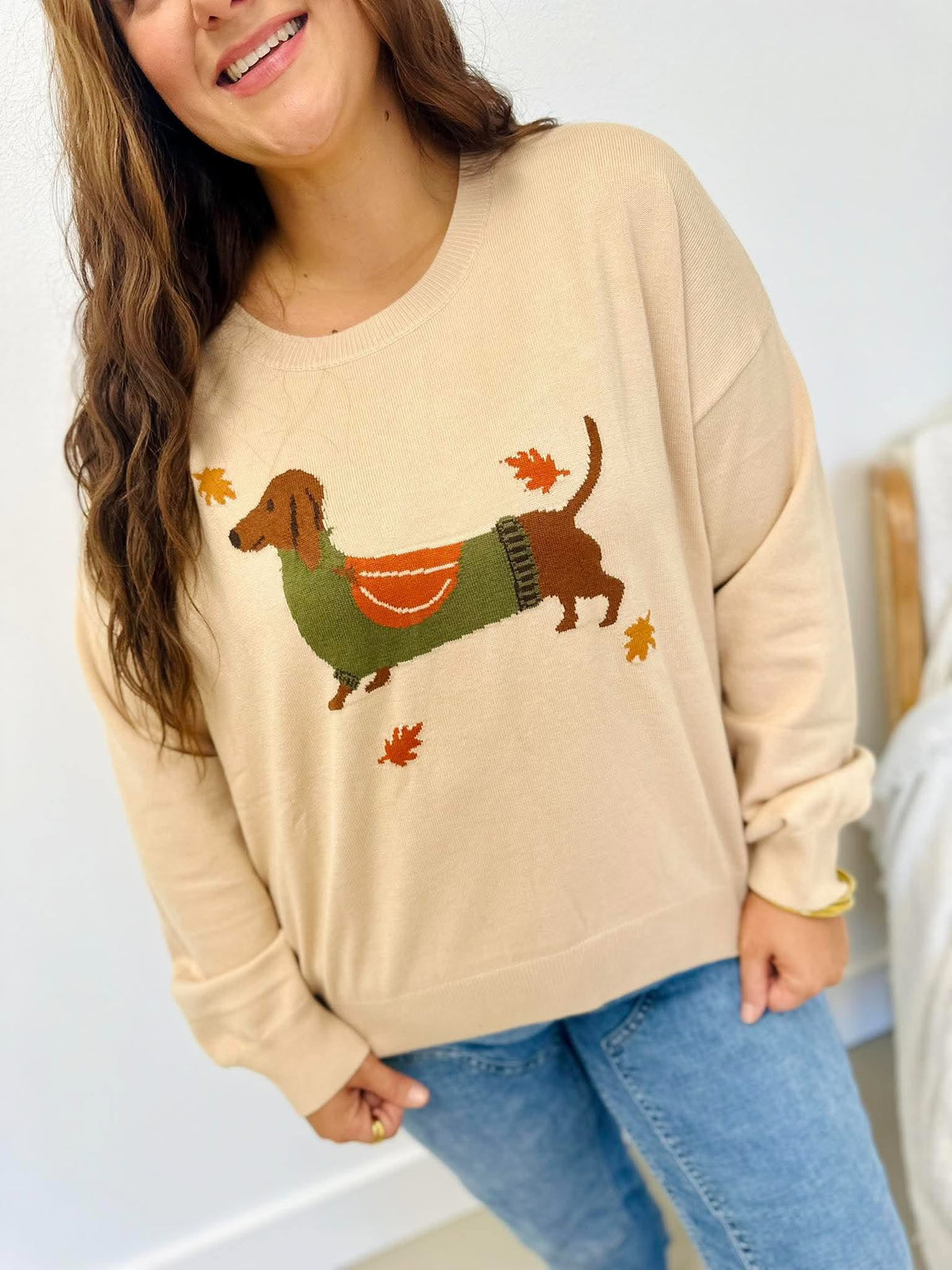 Fall Dog Sweater