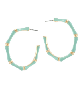 Baily Bamboo Mint Earrings